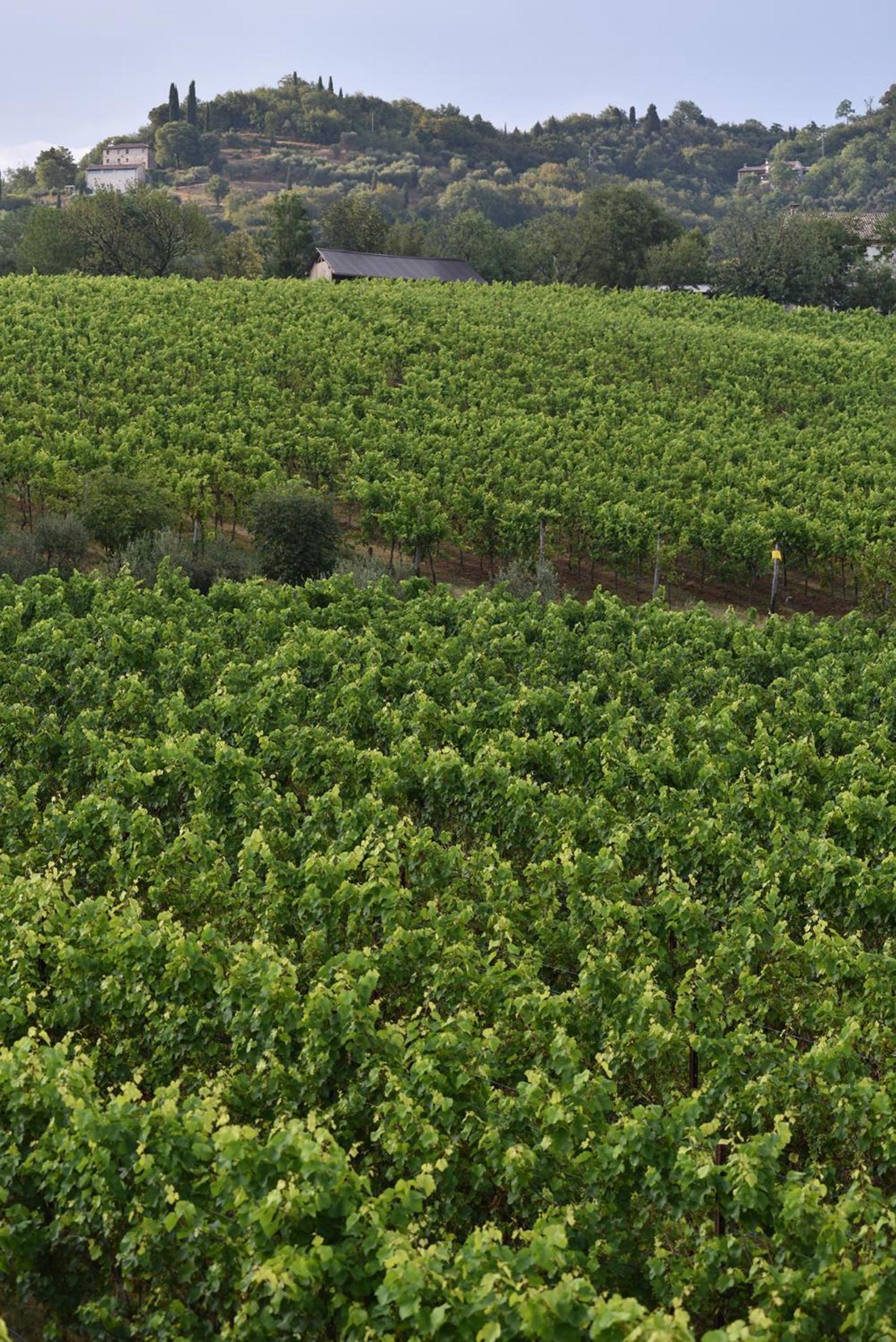 アーゾロ Progress Country & Wine Houseアパートホテル エクステリア 写真